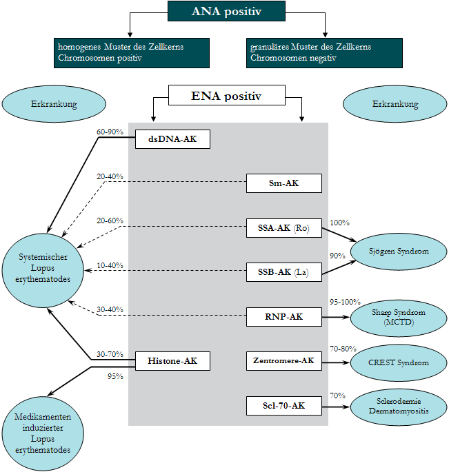 Diagramm