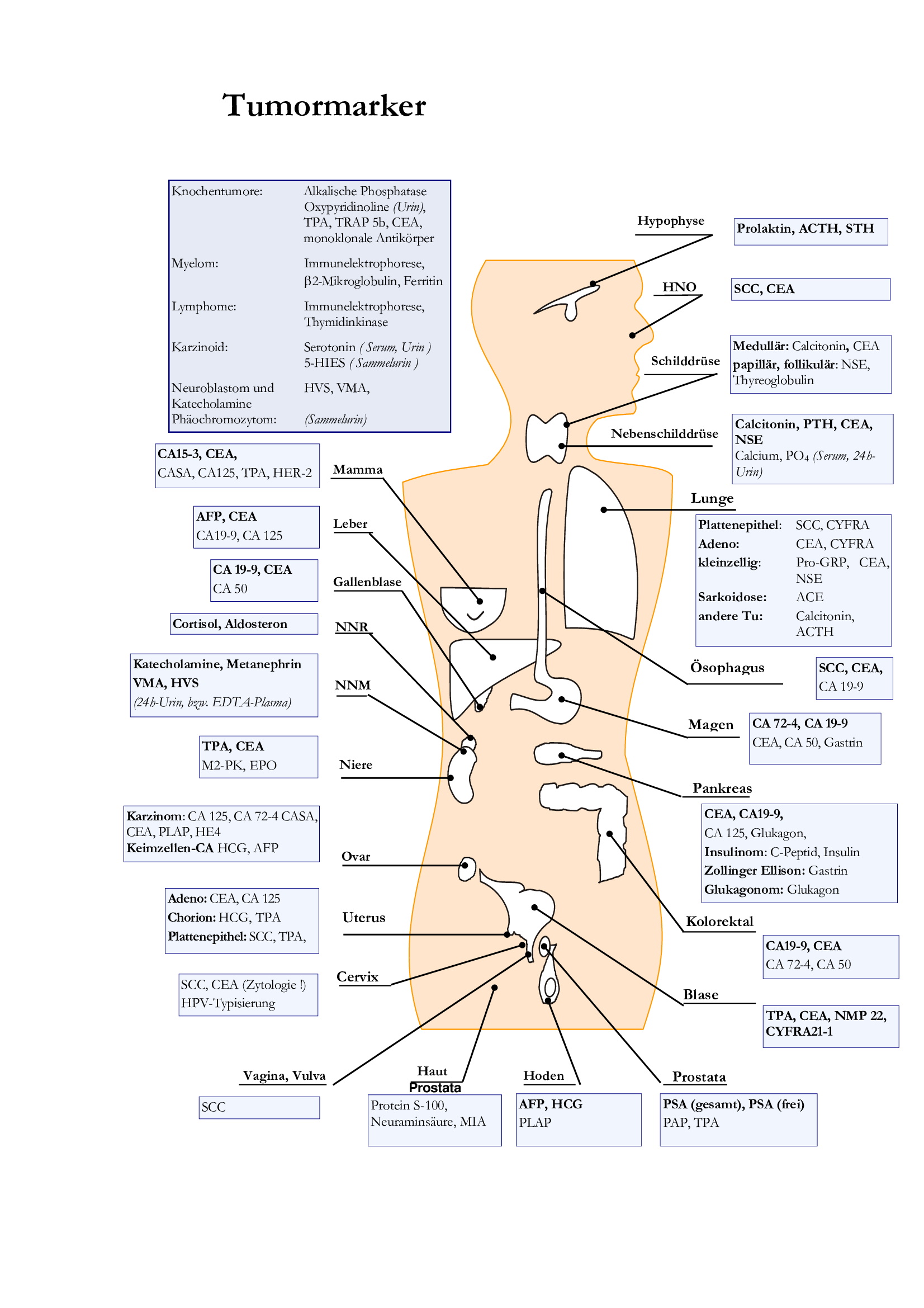 Cea tumor marker